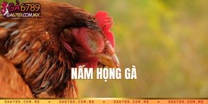 Bệnh nấm họng