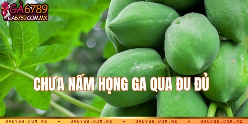 Cách chữa trị nấm họng gà hiệu quả qua đu đủ