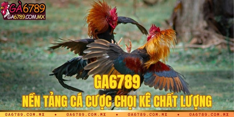 Đôi nét về trang Ga6789