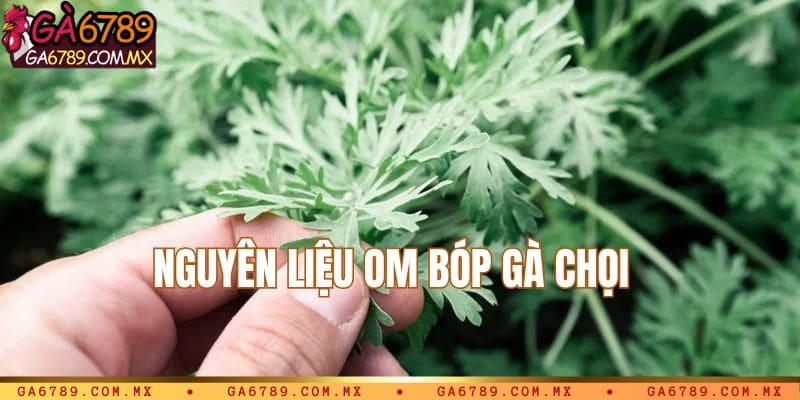 Lá chè khô + nghệ + ngải cứu