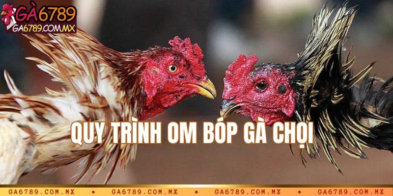 Quy trình om gà cụ thể cho sư kê