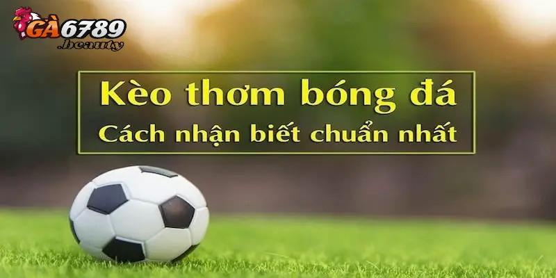 Những lợi ích khi chơi kèo cược thơm đó là gì