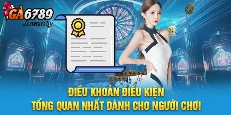 Khám phá Điều khoản và điều kiện của người dùng 